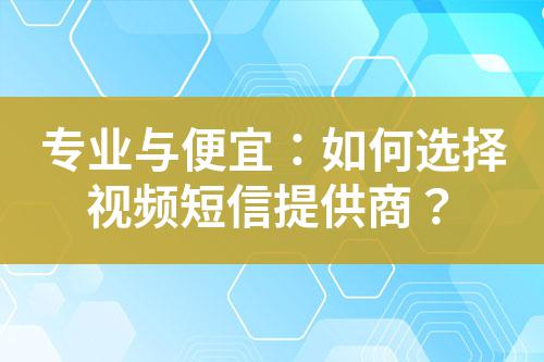專業(yè)與便宜：如何選擇視頻短信提供商？