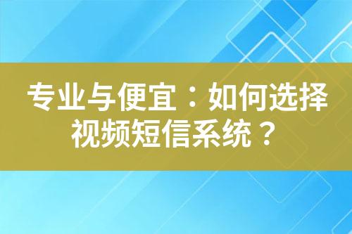 專業(yè)與便宜：如何選擇視頻短信系統(tǒng)？