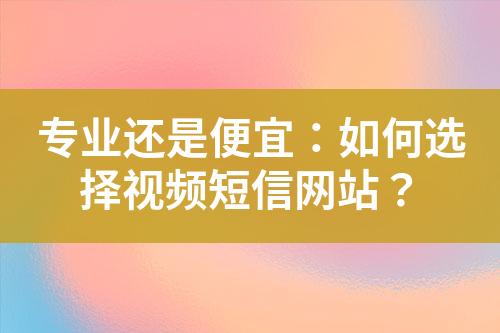 專業(yè)還是便宜：如何選擇視頻短信網(wǎng)站？