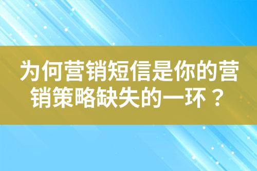 為何營(yíng)銷短信是你的營(yíng)銷策略缺失的一環(huán)？