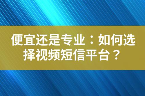 便宜還是專業(yè)：如何選擇視頻短信平臺(tái)？