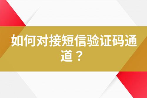如何對接短信驗(yàn)證碼通道？