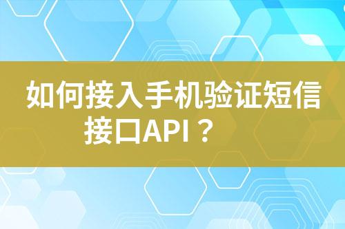 如何接入手機驗證短信接口API？