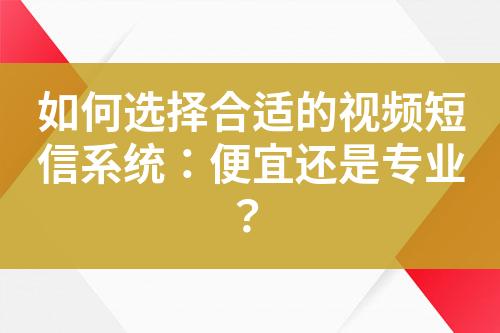 如何選擇合適的視頻短信系統(tǒng)：便宜還是專業(yè)？