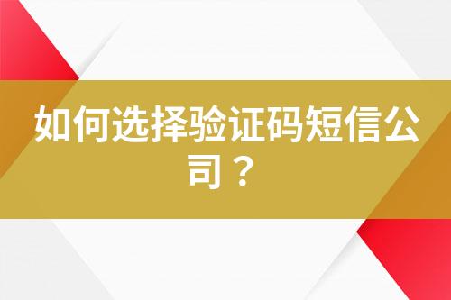 如何選擇驗(yàn)證碼短信公司？