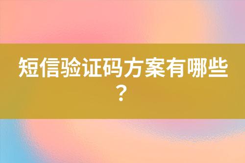 短信驗(yàn)證碼方案有哪些？