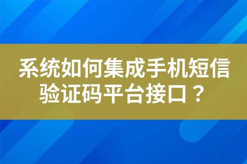 系統(tǒng)如何集成手機(jī)短信驗(yàn)證碼平臺(tái)接口？