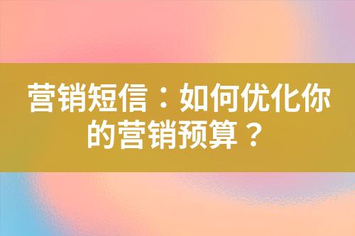 營(yíng)銷短信：如何優(yōu)化你的營(yíng)銷預(yù)算？