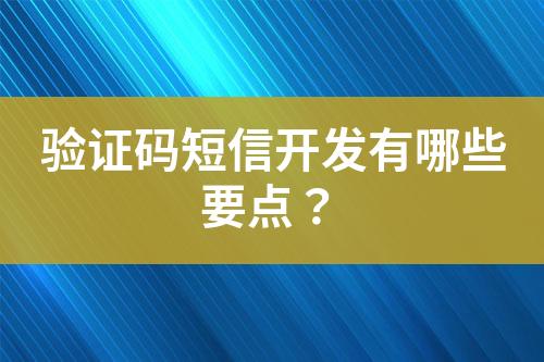 驗證碼短信開發(fā)有哪些要點？